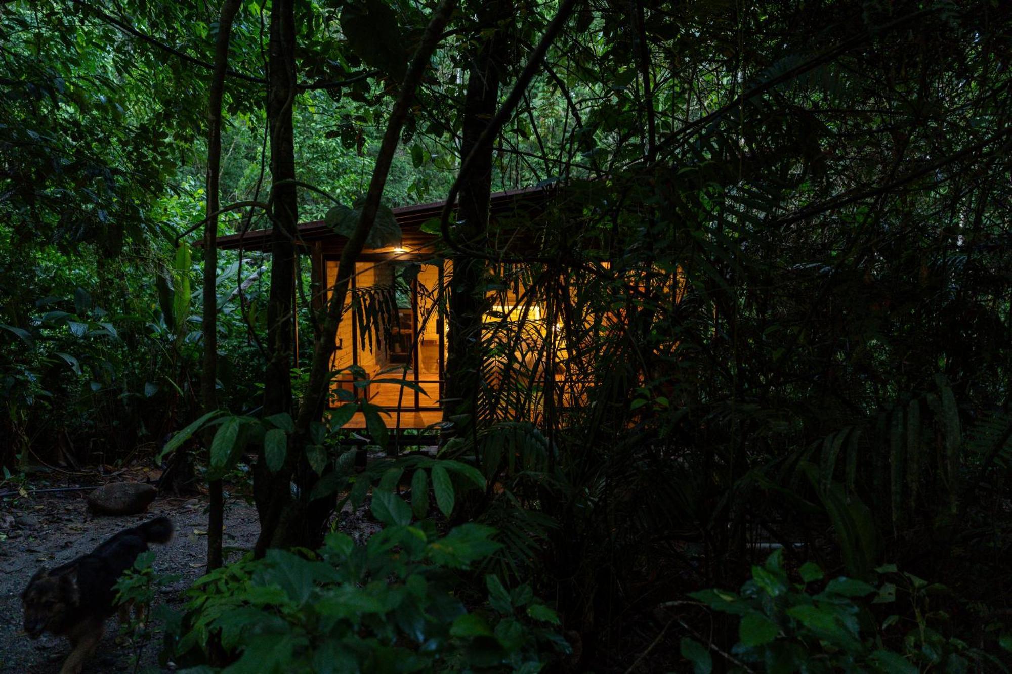 Hamadryade Lodge Misahualli Bagian luar foto